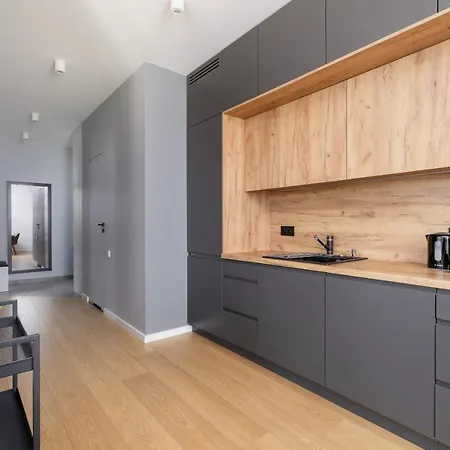 Modern & Spacious With Air Conditioning & Parking By Renters Prestige * Krakau